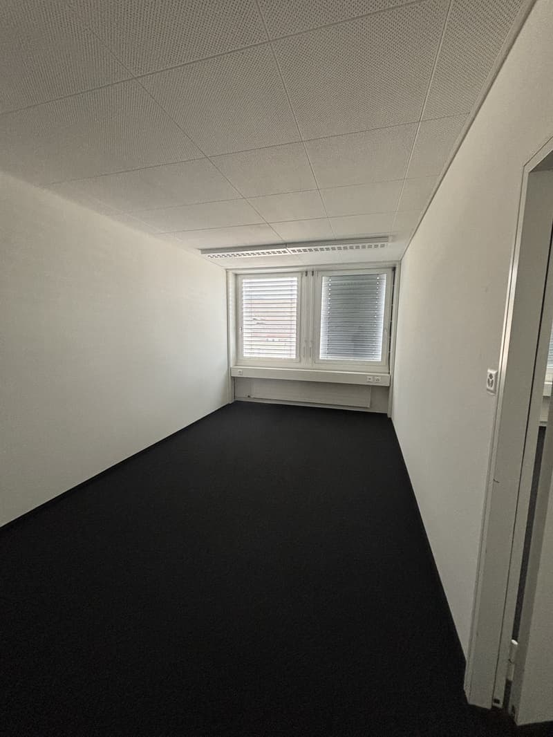Ufficio in posizione attraente (3)