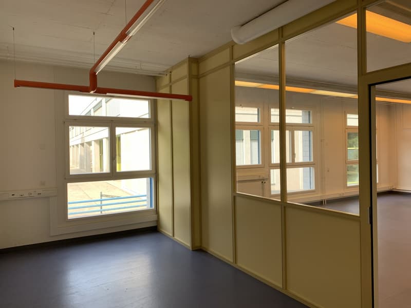 La Tour-de-Peilz, im Gebäude mit der Post - Büros im Erdgeschoss (10)