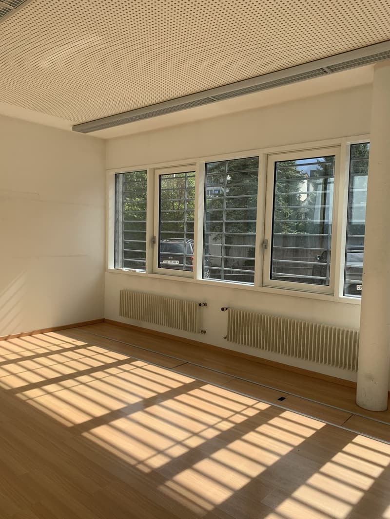 Sales rooms with old building charm (5)