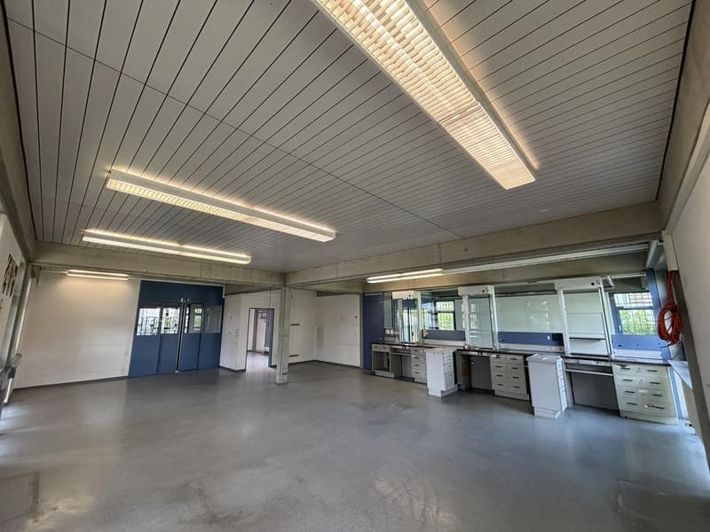 Attractive commercial space with versatile usage options in Kriegstetten (7)