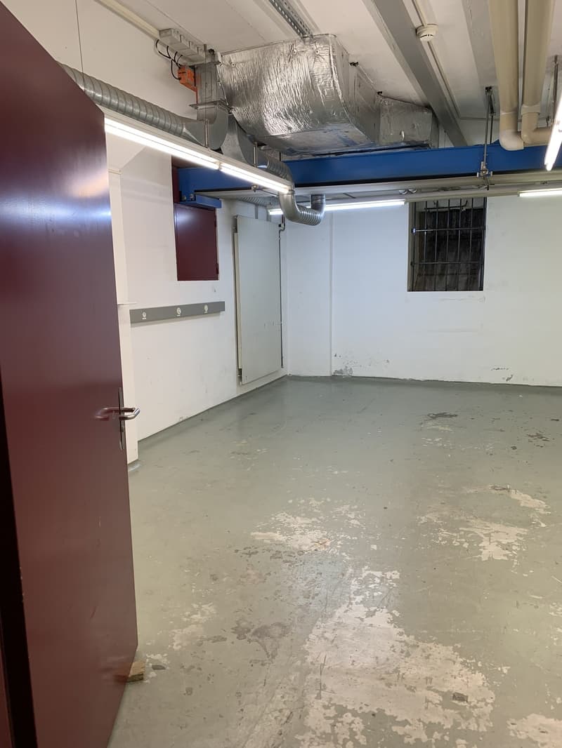 Un seminterrato di 50 m2 con ascensore (11)