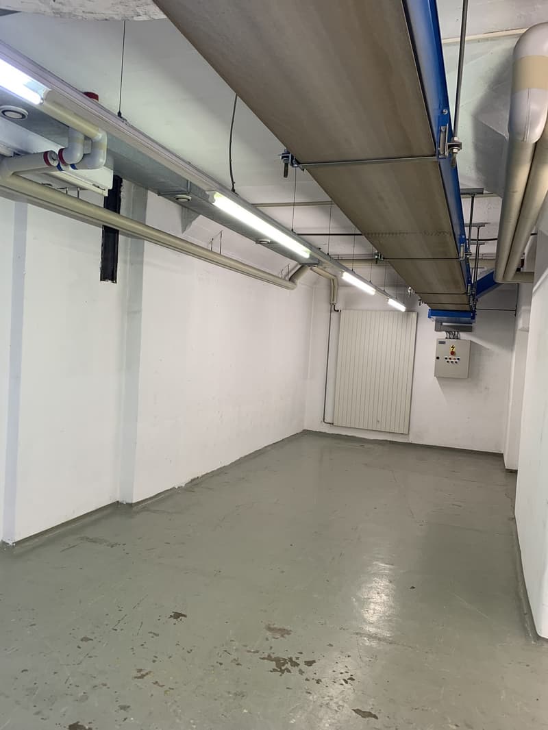 Un seminterrato di 50 m2 con ascensore (12)