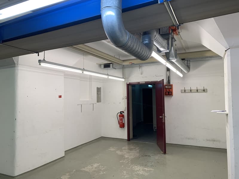 Un seminterrato di 50 m2 con ascensore (6)