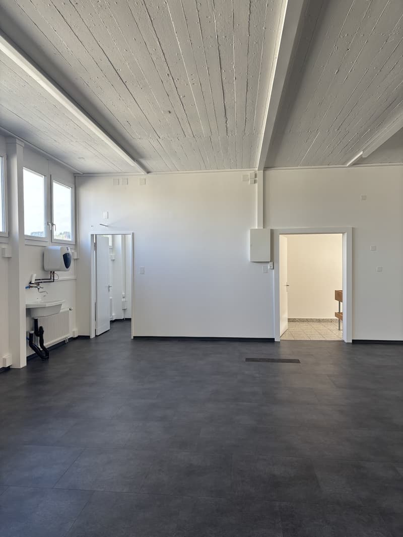 Ristrutturato di recente! Proprietà commerciale in una posizione attraente (4)