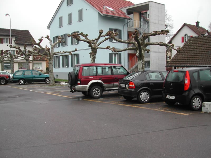 Place de parking, 8353 Elgg (5)