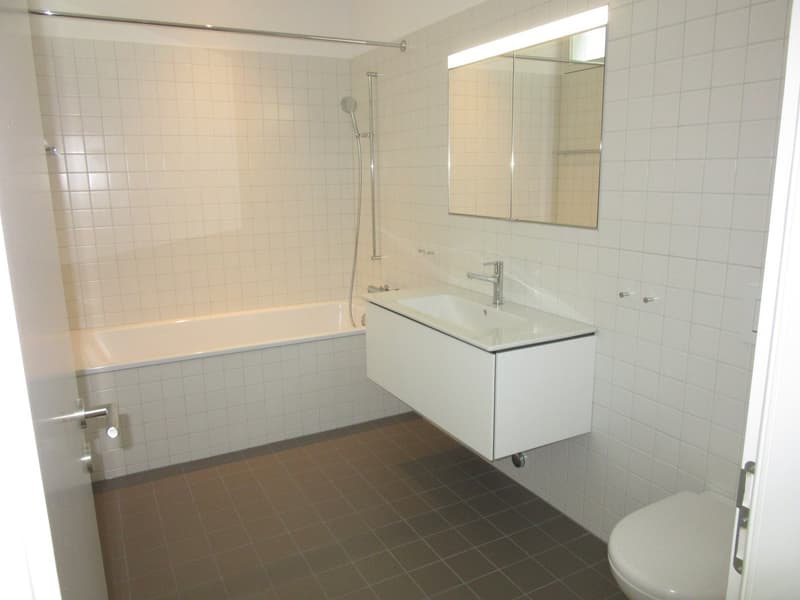 Top 3.5-room duplex apartment (7)