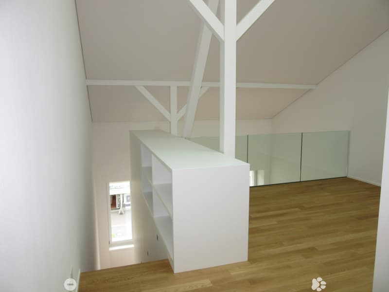 Top 3.5-Zimmer-Duplex-Wohnung (5)