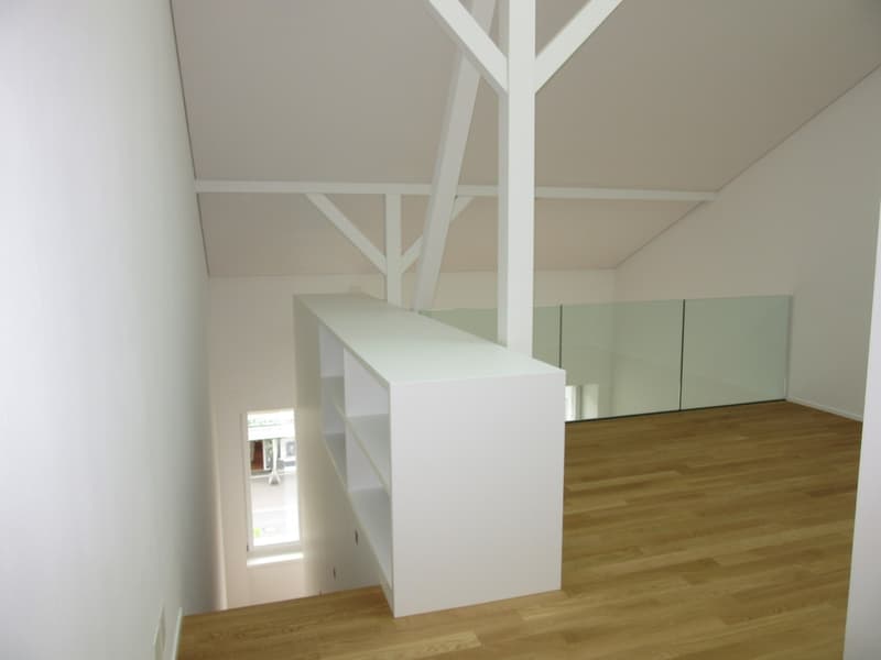 Top 3.5-room duplex apartment (5)