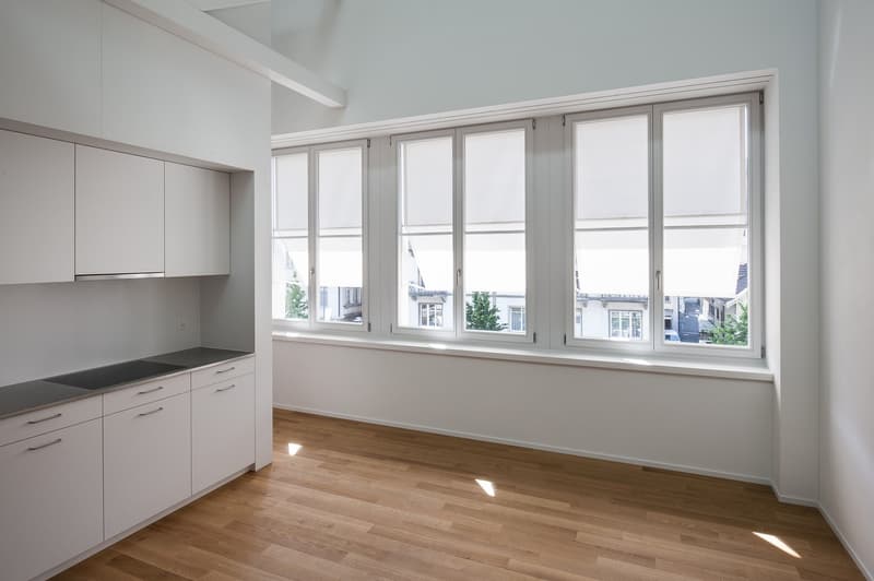 Top 3.5-room duplex apartment (3)