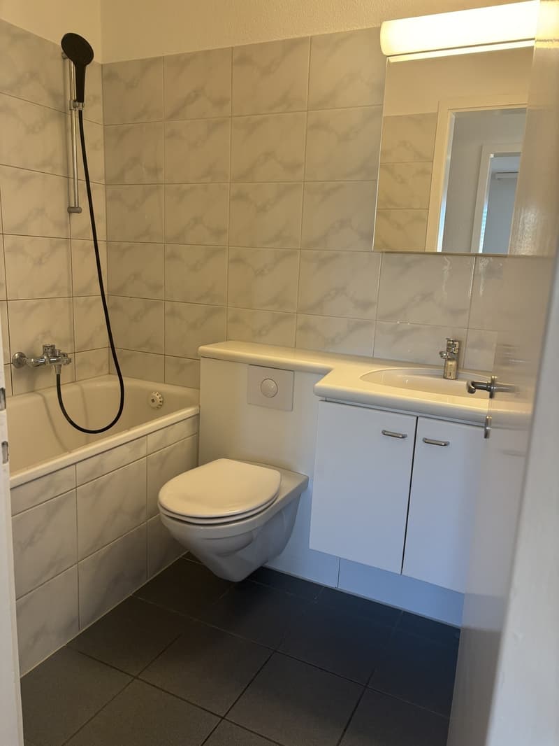3.5-Zimmer-Wohnung in Niederhasli ab sofort verfügbar (5)