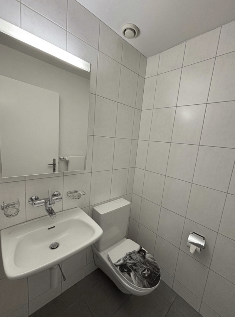 3 ½ Zimmer-Wohnung in Belp mieten (4)