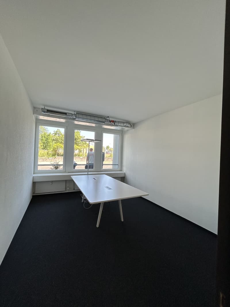 Bureau entièrement aménagé et meublé à Wallisellen à louer (5)