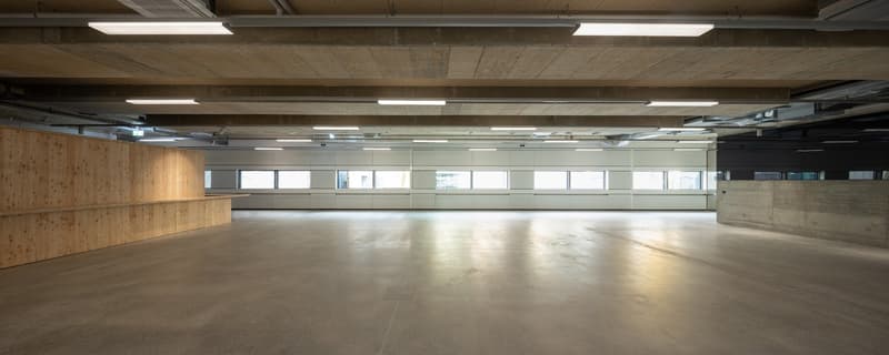 Spacious multifunctional room in the city center of Locarno (2)
