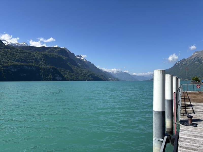 Beste Lage: Top Geschäftslokal in Brienz (7)
