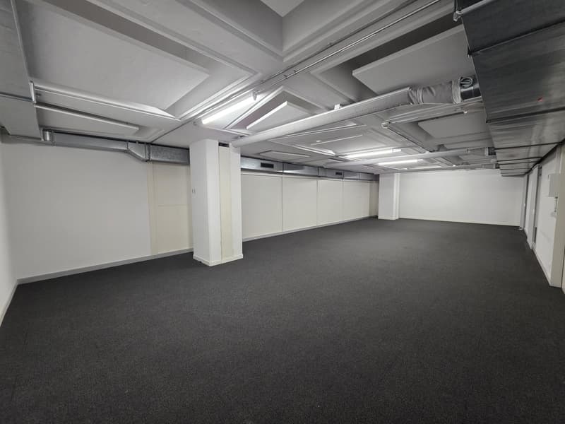 Local de dépôt de 90 m2 à Genève à louer (2)