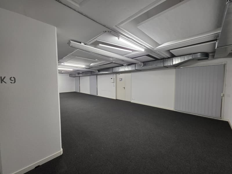 Local de dépôt de 90 m2 à Genève à louer (3)