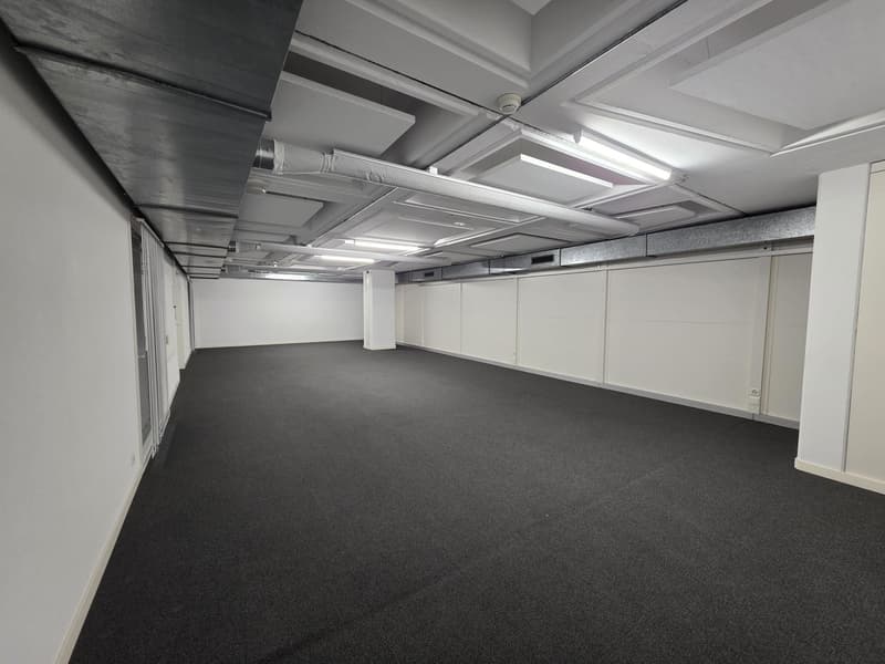 Local de dépôt de 90 m2 à Genève à louer (4)