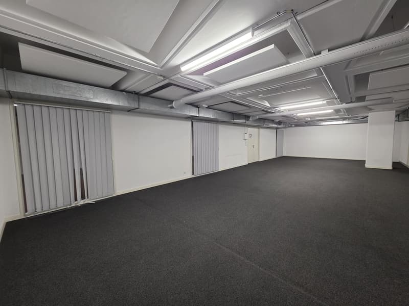 Local de dépôt de 90 m2 à Genève à louer (6)