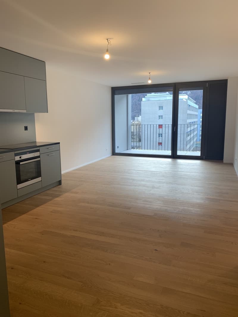 Appartement de 2,5 pièces lumineux avec balcon de 16 m2 (3)
