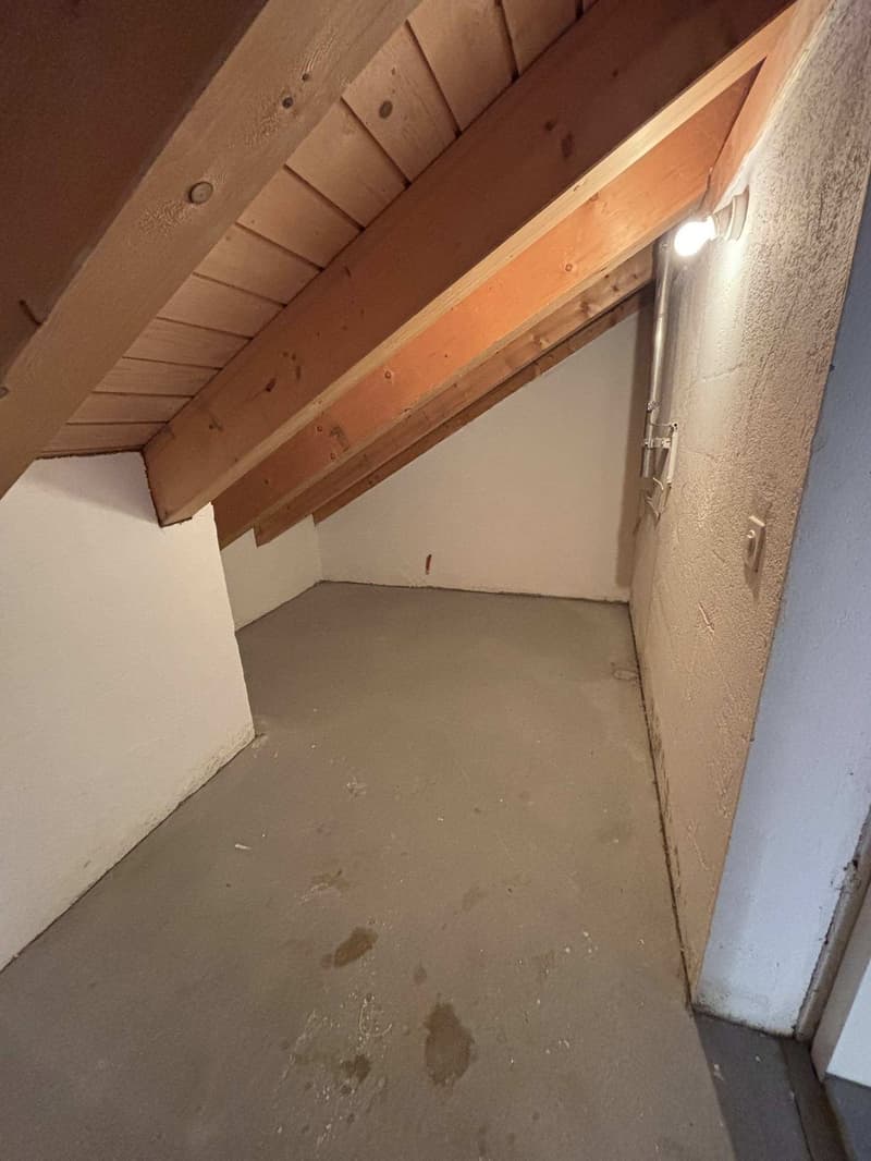 3.5-Zimmer-Dachwohnung in Disentis - befristet zu vermieten (11)