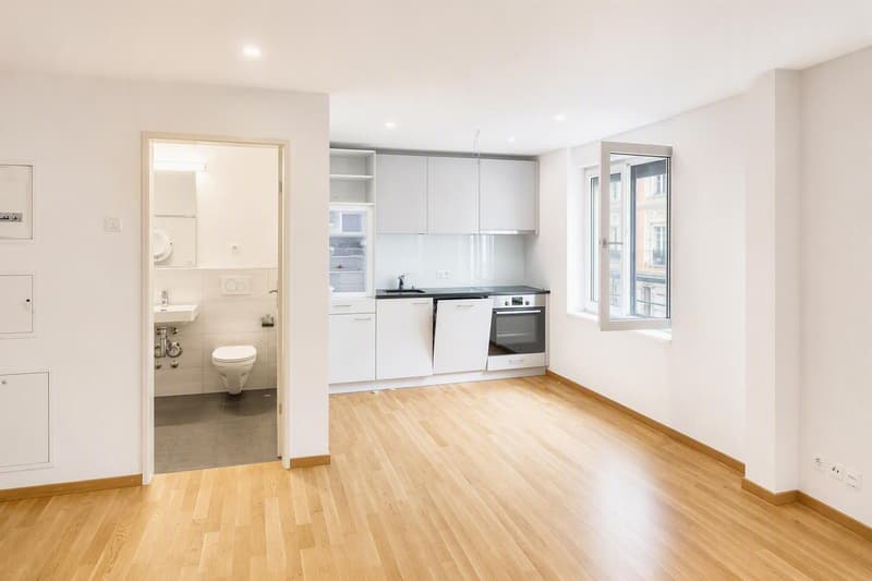 Moderne 1.5-Zimmer-Wohnung an zentraler Lage (1)