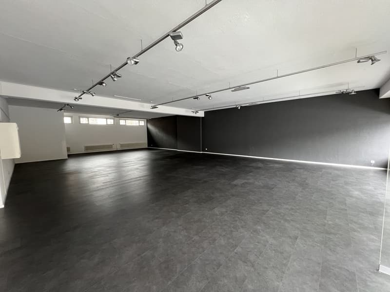 Freie Gewerbefläche Kreis 12 zu vermieten (1)