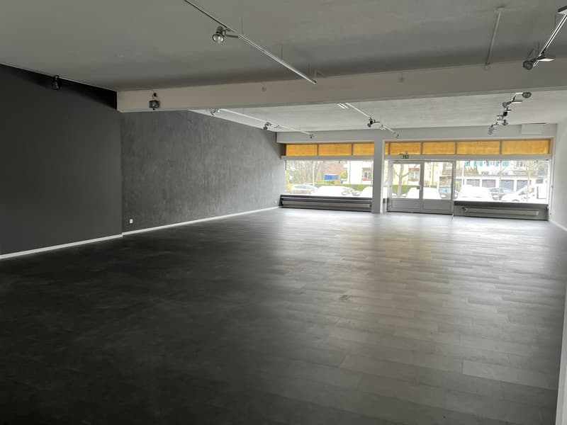 Freie Gewerbefläche Kreis 12 zu vermieten (3)
