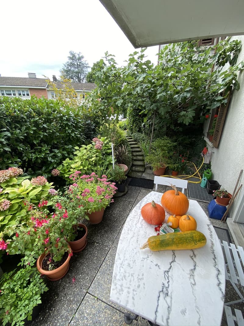 Attractive 2.5 room apartment with garden seating (4)