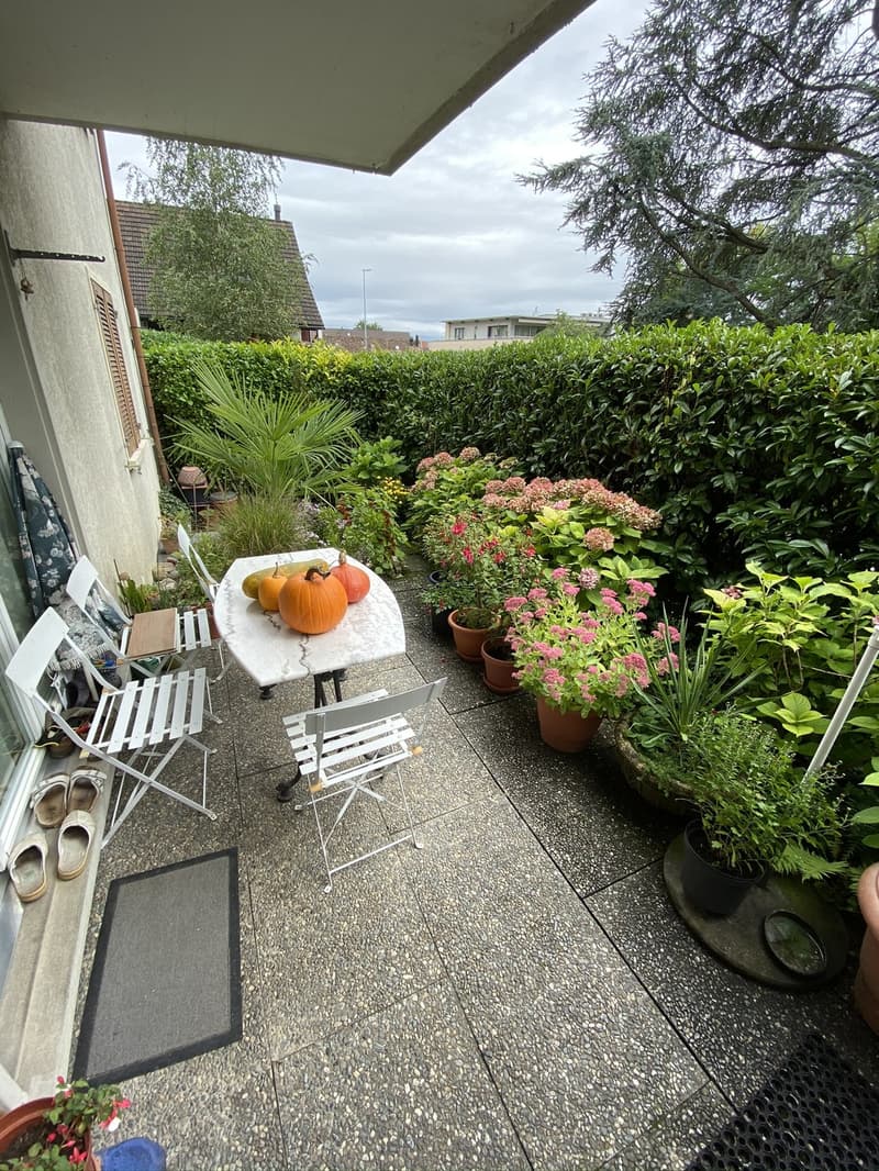 Attractive 2.5 room apartment with garden seating (3)