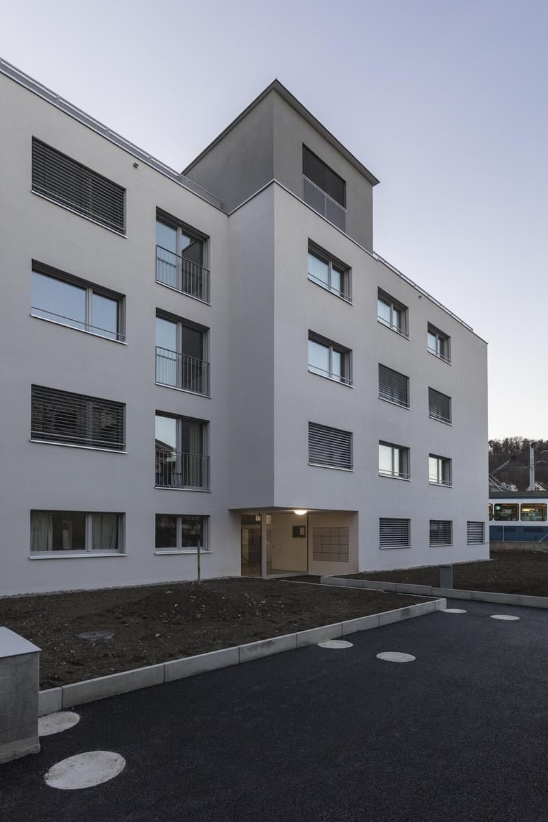 2.5-Room Apartment in Albisrieden (1)