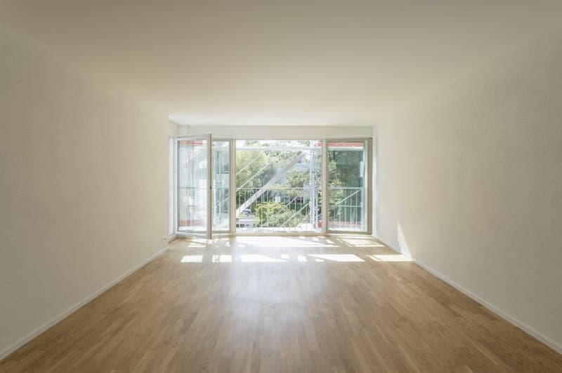 2.5-Room Apartment in Albisrieden (4)