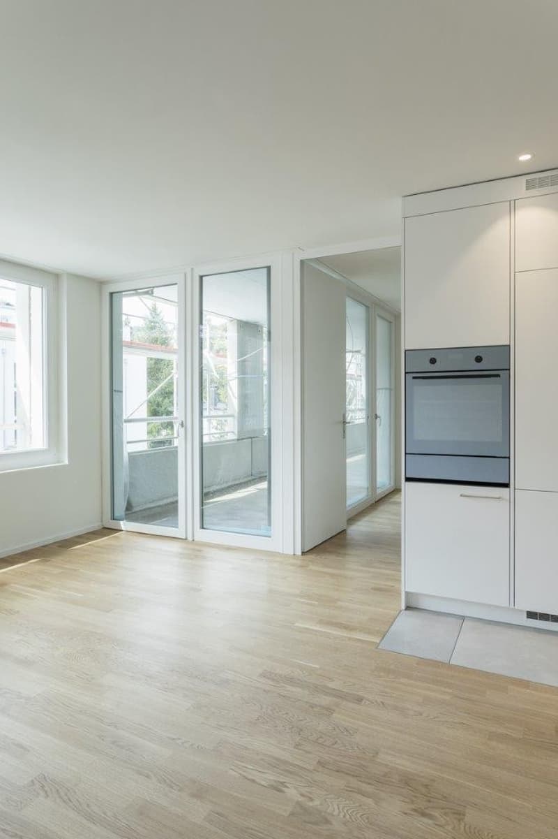 2.5-Room Apartment in Albisrieden (3)