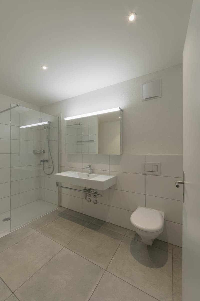 2.5-Room Apartment in Albisrieden (5)