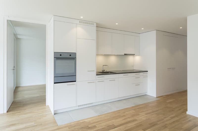 2.5-Zimmerwohnung in Albisrieden (2)