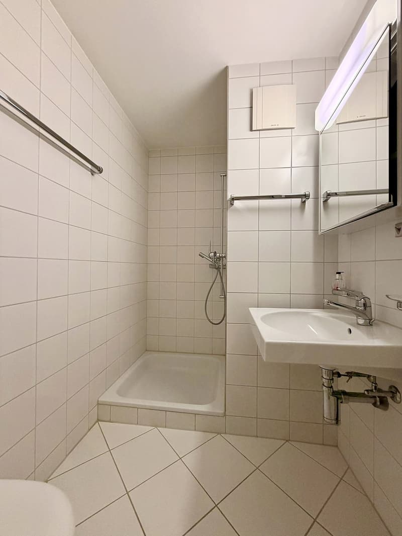 Attraktive 4.5-Zimmerwohnung in Uetikon am See (12)