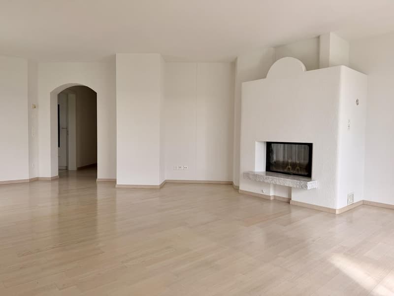 Attraktive 4.5-Zimmerwohnung in Uetikon am See (4)