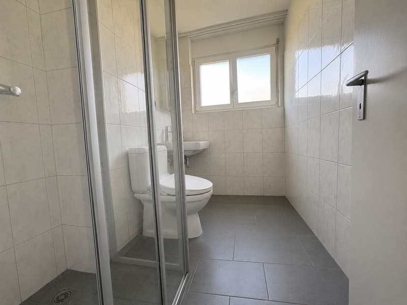 4.5-Zimmerwohnung am Stadtrand von Wallisellen (7)