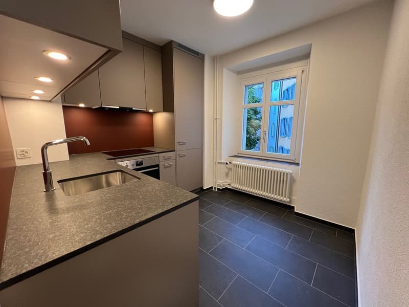 Zentral, urban, charmant  Wohnen im beliebten Zürcher Kreis 4 (4)