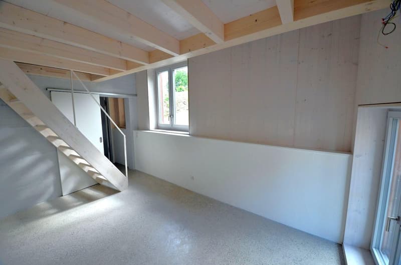 Ampio spazio per vivere, casa di 5,5 locali stilosa nella vicinanza del villaggio di Allschwil (8)