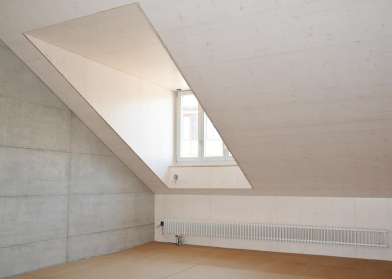 Ampio spazio per vivere, casa di 5,5 locali stilosa nella vicinanza del villaggio di Allschwil (10)