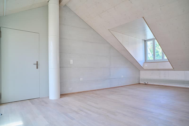 Viel Raum zum Leben. Stilvolles Einfamilienhaus in Dorfnähe Allschwil (7)