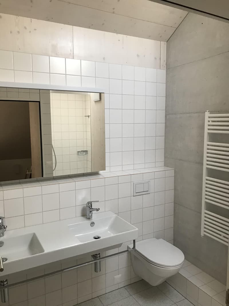 Ampio spazio per vivere, casa di 5,5 locali stilosa nella vicinanza del villaggio di Allschwil (12)