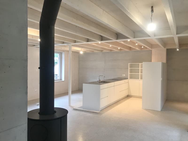 Ampio spazio per vivere, casa di 5,5 locali stilosa nella vicinanza del villaggio di Allschwil (2)