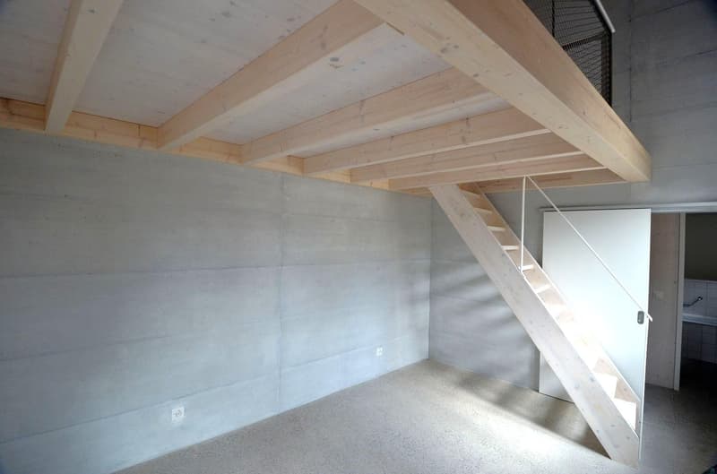 Ampio spazio per vivere, casa di 5,5 locali stilosa nella vicinanza del villaggio di Allschwil (7)