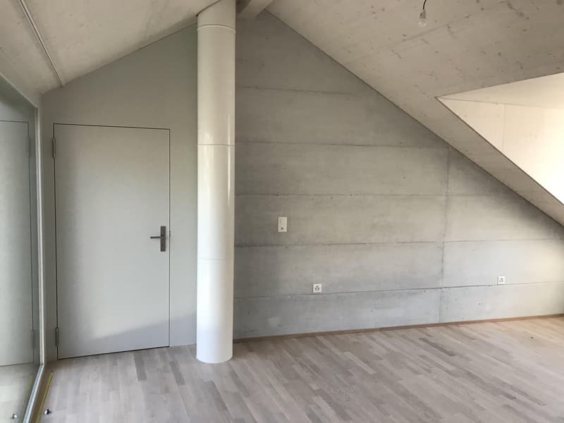 Ampio spazio per vivere, casa di 5,5 locali stilosa nella vicinanza del villaggio di Allschwil (11)
