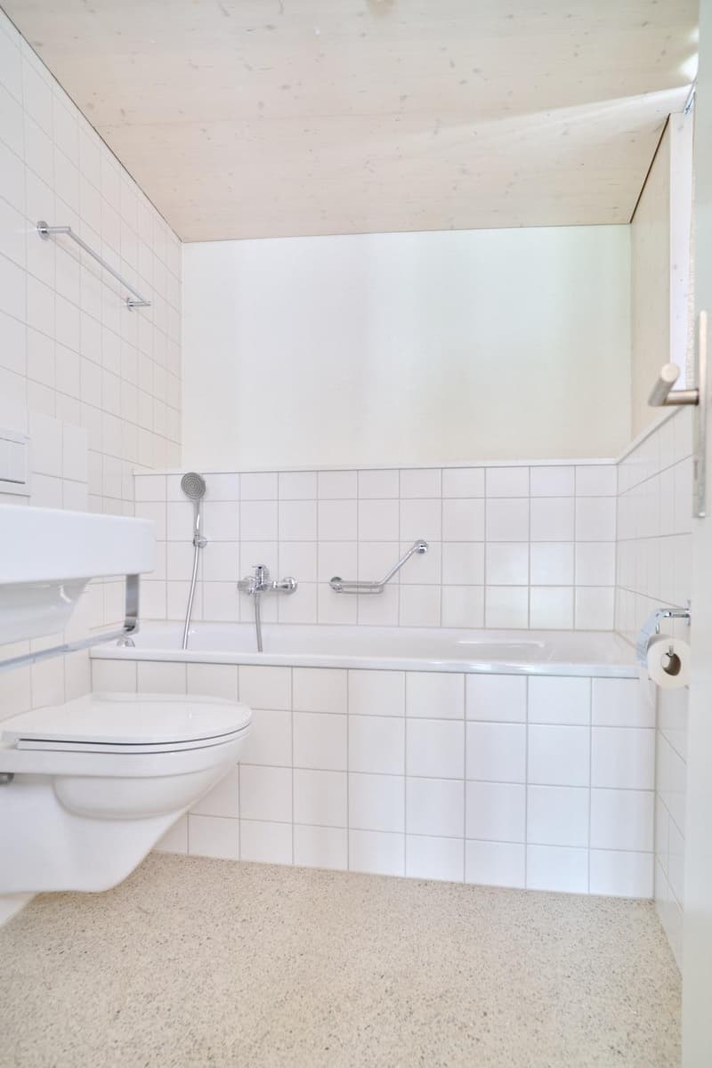 Viel Raum zum Leben. Stilvolles Einfamilienhaus in Dorfnähe Allschwil (10)