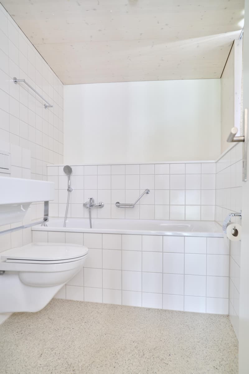 Spacious living stylish single-family home near the village of Allschwil (11)