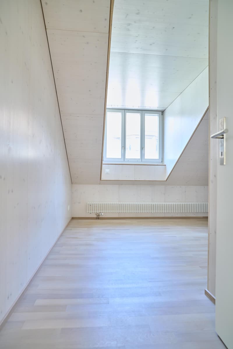 Spacious living stylish single-family home near the village of Allschwil (9)