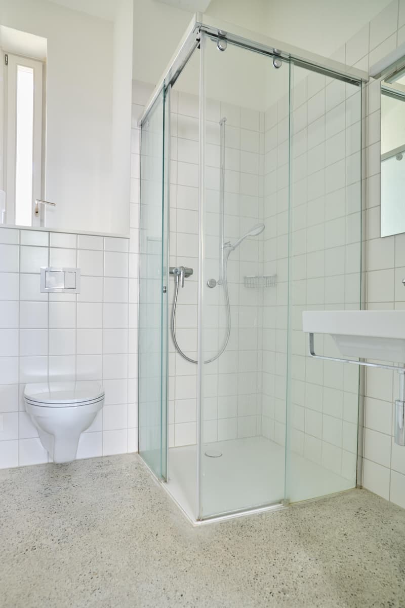 Spacious living stylish single-family home near the village of Allschwil (12)