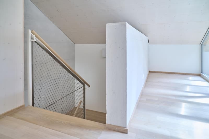 Spacious living stylish single-family home near the village of Allschwil (10)
